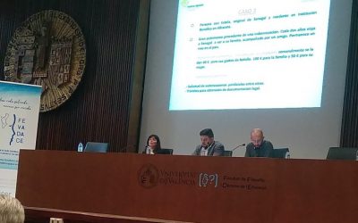 FUNDACE CLM participa en la VIII Jornada sobre Daño Cerebral “De lo Institucional a la Persona” celebrada en Valencia